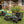 Gorilla Carts Steel Utility Cart Garden Beach Wagon, 800 Pound Capacity, Black