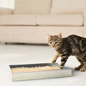 Pet Lodge 24 x 24 x 2.75 Inches Heavy Duty Metal Rabbit Hutch Dropping/Waste Pan