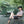 Kamp-Rite Oversized Quick Setup 1 Person Cot, Lounge Chair, & Tent, w/Domed Top