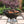 Mr Bar-B-Q Charcoal Kettle Grill 17 Inch Round Porcelain Coated Fire Bowl, Black