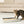 Pet Lodge 24 x 24 x 2.75 Inches Heavy Duty Metal Rabbit Hutch Dropping/Waste Pan