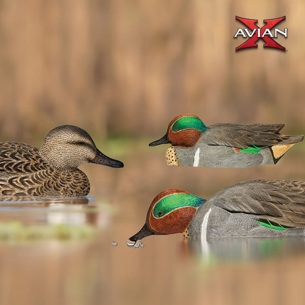 Avian X Topflight Green-Winged Teal Duck, Floating Decoys, Set of 6, Multicolor