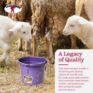 Little Giant 2 Gallon All Purpose Flat Back Plastic Bucket, Purple, (12 Pack)