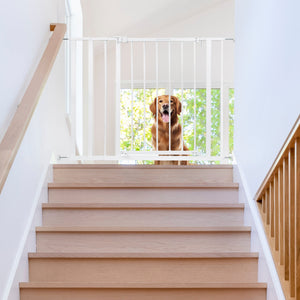 Ingenuity Ozzy & Kazoo 36” Tall Walk Through Dog Gate For Doorway or Stairway
