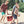 CAMP-ZERO 10 Liter 10.6 Quart Lidded Cooler with 2 Molded In Cup Holders, Coral