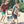 CAMP-ZERO 10 Liter 10.6 Quart Lidded Cooler with 2 Molded In Cup Holders, Sage