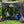 CLAM Quick-Set Traveler 6x6 Ft Portable Outdoor 4 Sided Canopy Shelter, Plum