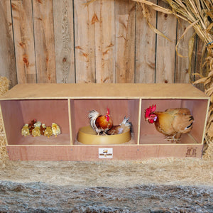 Rugged Ranch TRIPLEX RuggEgg Barn Wooden Chicken Coop Triple Nesting Egg Boxes - TRAPSKI