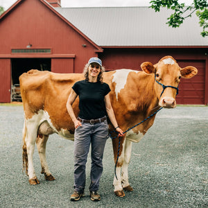 Lightweight Women's T-Shirt Crew Top - 100% Merino Wool