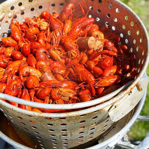 Loco Cookers 30 Quart Aluminum Circular Pots Kit for Boiling & Steaming, Silver