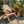 Log Wooden Deck Chair
