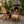 Log Wooden Deck Chair