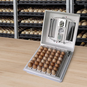 Farm Innovators 40W Digital Circulated Air Incubator for Up to 4 Eggs (3 Pack)