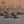 Avian X Topflight Early Season Teal with Realistic True to Life Postures, 6 Pack