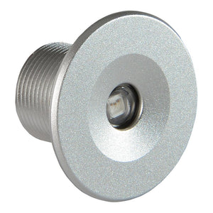 Lumitec Echo Courtesy Light - Brushed Housing - White Light - TRAPSKI