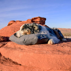 LUXE CAMPING PILLOW™ - TRAPSKI