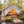 12'x14' Alpha Wall Tent