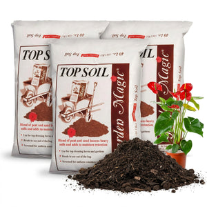 Michigan Peat Garden Magic Planting Potting Top Soil Blend, 40 lbs Bag (3 Pack)