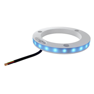 Mate Series LED Light Ring - TRAPSKI