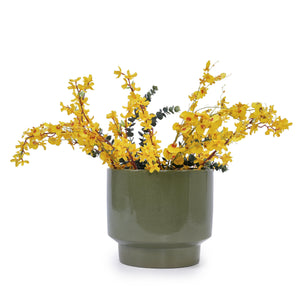 3 Pieces Ceramic Flowerpot Set with Graduated Sizes - Antique Light Green