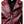 Men’s Angel Maroon Designer Leather Jacket
