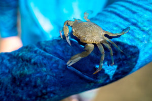 MEN'S SPORT TEC | BLUE CRAB | HOODED