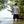 MEN'S SPORT TEC | SNOOK | HOODED - TRAPSKI