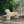 MGO Dog Bench with Labrador Design - Outdoor Light Brown