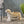 MGO Dog Bench with Labrador Design - Outdoor Light Brown