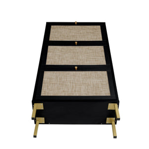 Modern Rattan 3 Door Shoe Rack Cabinet with 3 Doors - Multiple Colors
