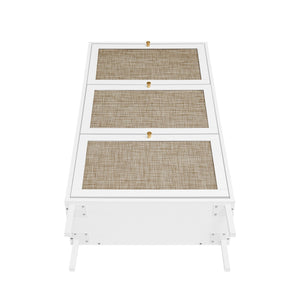 Modern Rattan 3 Door Shoe Rack Cabinet with 3 Doors - Multiple Colors