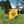Morrell Yellow Jacket Supreme 3 28 Pound Field Point Archery Bag Target (2 Pack)