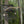 Muddy The Nexus XTL 20 Foot Hunting Ladderstand, 2 Person Climbing Tree Stand