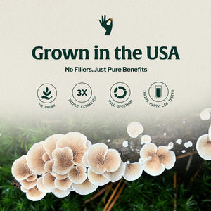 Organic Mushroom Coffee Singles Vitality with Lion’s Mane & Chaga
