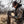 Cuddeback Tracks Camera