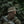 M-Tac Boonie Hat Gen.II Summer Flex