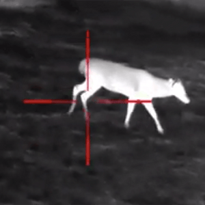 Infrared Night Vision Scope 4.5X with Low Light CMOS