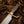 Notorious Musso Bowie Knife – D2 Steel Rose Wood Handle