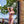 7.2 Feet 9.3 Gallon Solar Heated Shower with Hand and Foot Tap