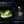 Fenix E08R UE Multi-Light EDC Flashlight With Red Light & Green Laser