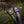 Fenix HL12R V2 Ultralight Outdoor Rechargeable Headlamp