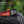 Fenix HL18R-T V2 Lightweight Trail Running Headlamp