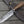 Oblivion Damascus Bowie Knife with Exotic Rosewood Handle