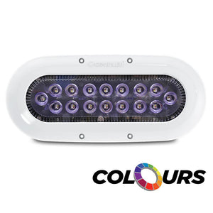 Ocean LED X-Series X16 - Colors LEDs - TRAPSKI