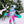 Nuts Cracker Ski Suit - Women's
