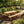 Outdoor Farmhouse Dining Table