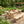 Outdoor Farmhouse Dining Table