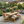 Outdoor Farmhouse Patio Table and Chairs