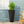 Outdoor Modern Cast Stone Planter