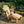 Outdoor Patio Footrest